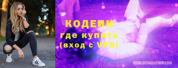 ECSTASY Бородино