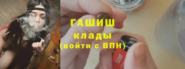 ECSTASY Бородино