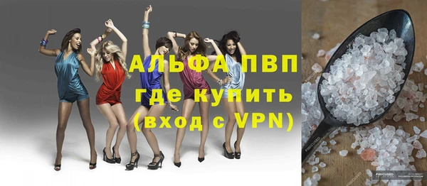 ECSTASY Бородино