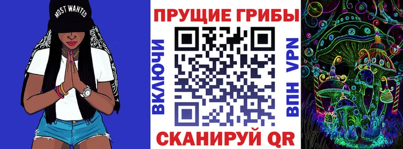 цены наркотик  Сухой Лог  Галлюциногенные грибы мицелий 